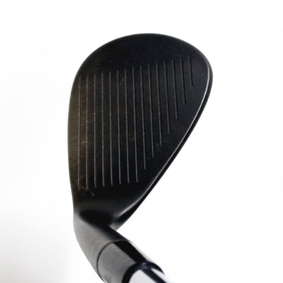 카스코 DOLPIN WEDGE DW-113 58도 NS PRO 950GH R